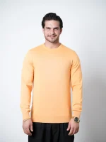 پلیور یقه گرد مردانه کد 011 - تصویر 22